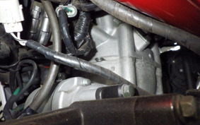 OTHER メガリ 250R