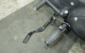 HARLEY XL883N 2009