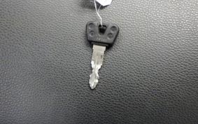 YAMAHA VIRAGO 250 TRIKE 3DM