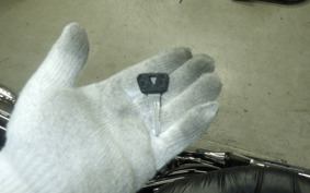 YAMAHA VIRAGO 250 2024 3DM