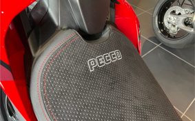 DUCATI PANIGA-RE 2024