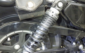HARLEY XL1200NS 2020