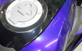 YAMAHA YZF-R25 A RG43J