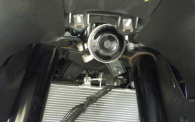 YAMAHA YZF R-3 2025 RH21J