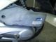Фото Honda DIO Gen.6 с японского аукциона