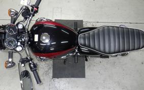 KAWASAKI W800 2025 EJ800E