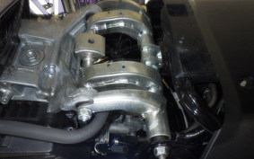 HONDA BENLY 50 2023 AA05