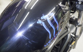 HONDA REBEL 250 2025 MC49