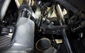 KAWASAKI NINJA 250 ABS 2023 EX250L