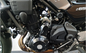 KAWASAKI Z650 RS 2024 ER650M