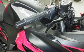KAWASAKI NINJA 250 2 2019 EX250P