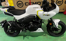 OTHER CFMOTO XO-1 PAPIO