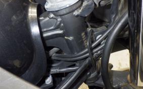 KAWASAKI NINJA 250 2019 EX250L