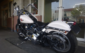 HARLEY FLSTCI 2001 BWB