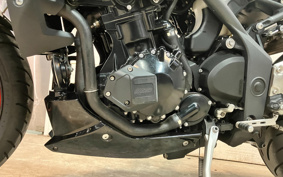 TRIUMPH SPEED TRIPLE 2013 TPN105