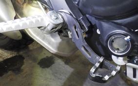 DUCATI SCRAMBLER ICON 2023