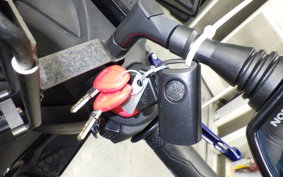 YAMAHA X-MAX 250 TRIKE A 1984