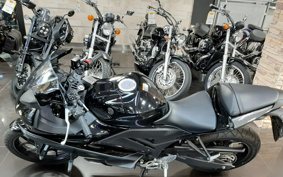 YAMAHA YZF-R25 RG74J