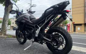 TRIUMPH TIGER 900GT PRO 2024 TRC82D