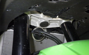 KAWASAKI NINJA ZX-6R A 2021 ZX636G