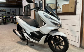 HONDA PCX 125 JF81