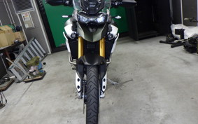 TRIUMPH TIGER 900 RALLY PRO 2022