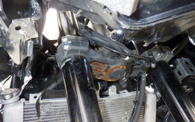 KAWASAKI ZX-4RR 2023