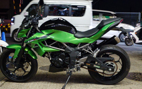 KAWASAKI Z250 SL BR250E