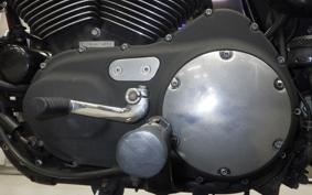 OTHER +HD. XL1200R 2006