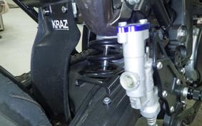 YAMAHA WR250X 2021 DG15J