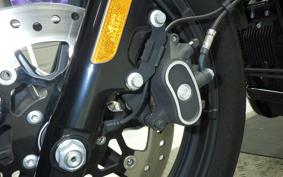 HARLEY XL1200NS 2019