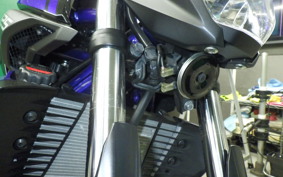 YAMAHA MT-25 1999 RG43J