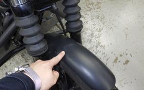 HARLEY XL883N 2018