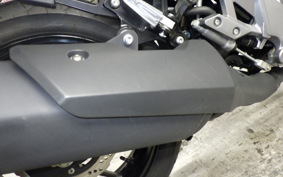 SUZUKI Vｽﾄﾛｰﾑ250 2017