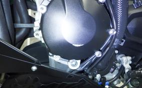 KAWASAKI NINJA ZX-6R A 2024 ZX636J