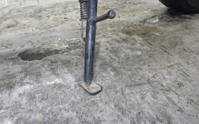 HONDA HORNET 250 2025 MC31