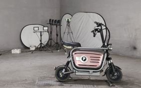 OTHER DENDOU BIKE  ..