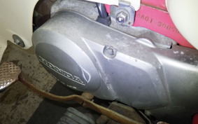 HONDA LITTLE CUB 2022 AA01