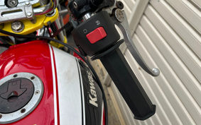 SUZUKI GSX250 ZR250C