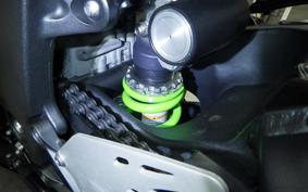 KAWASAKI NINJA ZX-6R A 2019 ZX636G