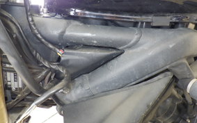 TRIUMPH STREET TRIPLE 2009