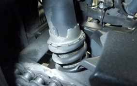 KAWASAKI NINJA 250 ABS 2022 EX250L