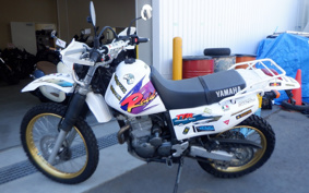 YAMAHA TT250RRAID 4GY