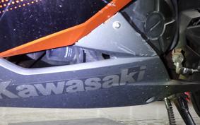 KAWASAKI NINJA 250 EX250L