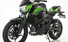 KAWASAKI Z250 EX250Y