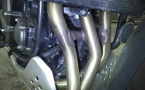 TRIUMPH TRIDENT 660 2024