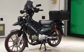 HONDA CROSS CUB 110 2009 JA60