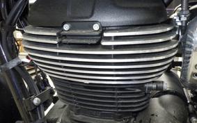 OTHER +ENFIELD ﾒﾃｵ350 2024