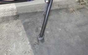 KAWASAKI NINJA 250 EX250P