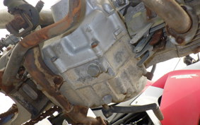 HONDA GORILLA 2006 Z50J